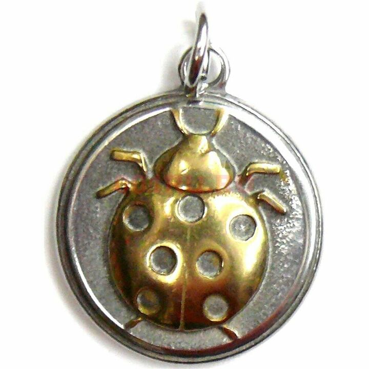 amulet ladybug - բերում է ֆինանսական հաջողություն